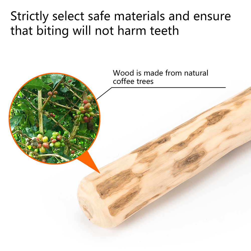 Sturdy Stick Dog Toy Bite-Resi - Suction Cup Dog Tug Toy 评论和价格