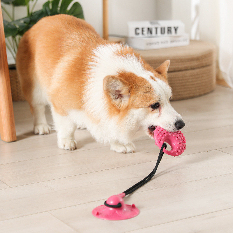 Dog Toys Silicon Suction Cup T - Suction Cup Dog Tug Toy 评论和价格