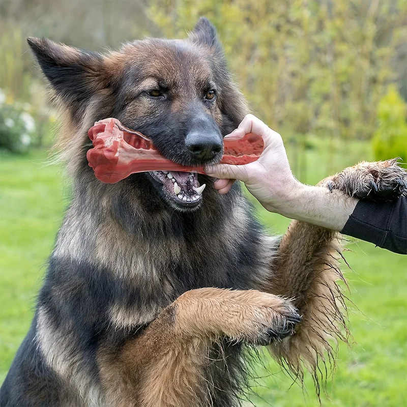Super Tough Indestructible Dog - Teeth Cleaning Dog Chew Bone 评论和价格