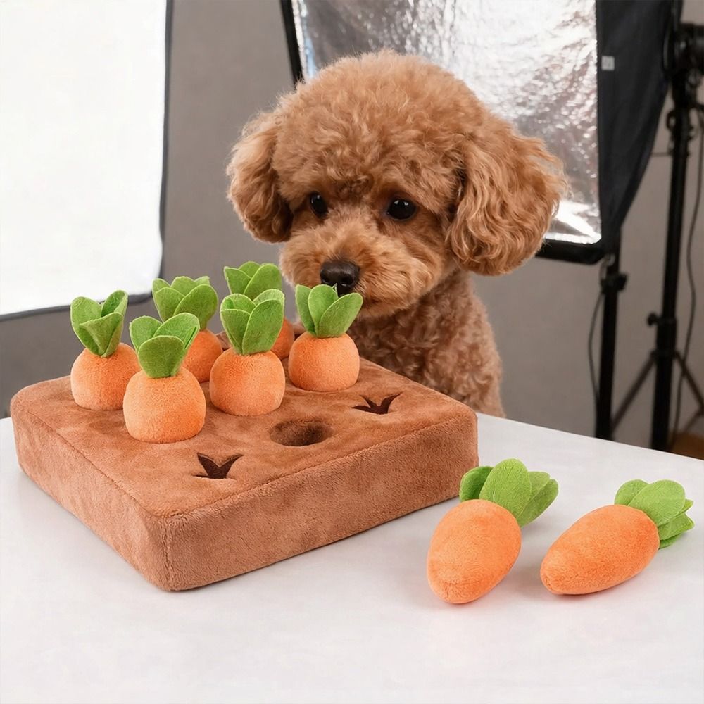 Stress Relief Carrot Snuffle M - Snuffle Mat For Dogs 评论和价格
