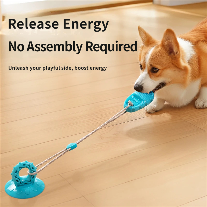 Suction Cup Dog Tug Toy Intera - Suction Cup Dog Tug Toy 评论和价格