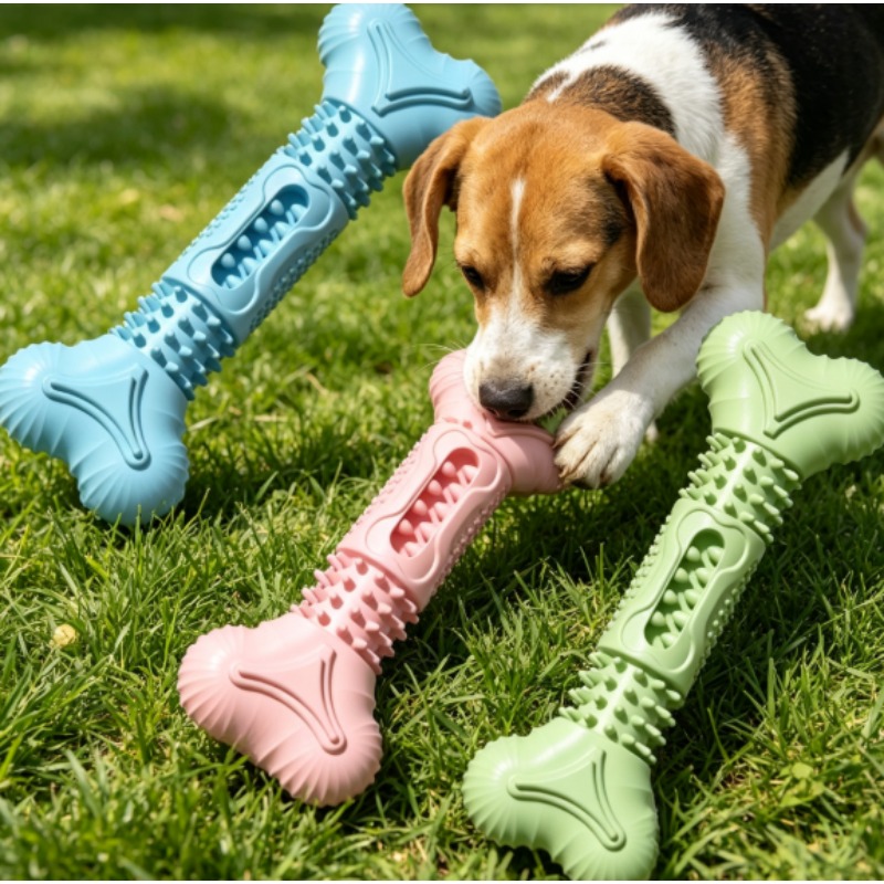 New Durable Pet Chew Toy Set D - Teeth Cleaning Dog Chew Bone 评论和价格