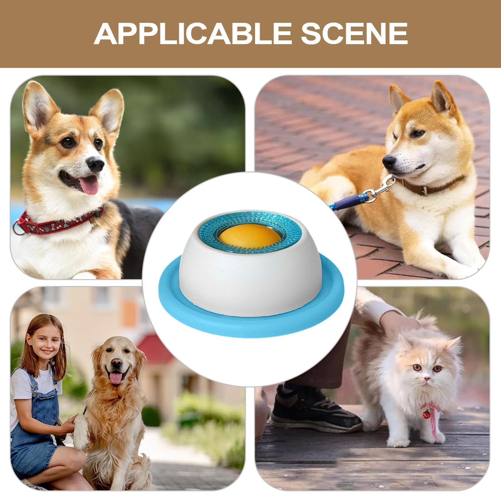 Dog Treat Toy Pet Feeding Acce - Dog Puzzle Feeder Toy 评论和价格
